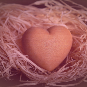 Empty Nest